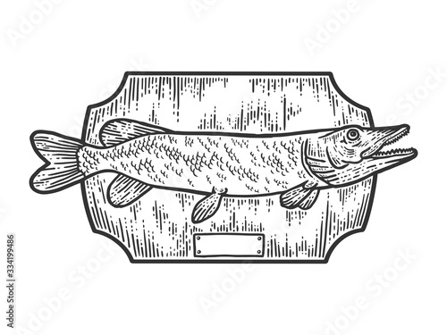 Fishing trophy stuffed fish, northern pike. Apparel print design. Scratch board imitation. Black and white hand drawn image.