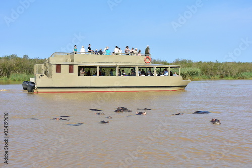 hippos watching on lake St.Lucia in South Africa photo