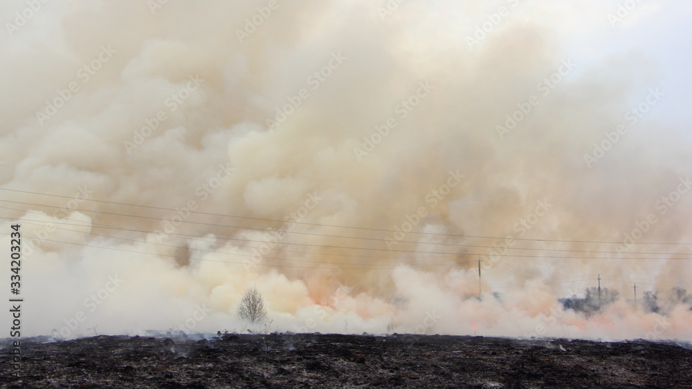 Heavy smoke over a burning black charred field, a big forest fire, ecological problem