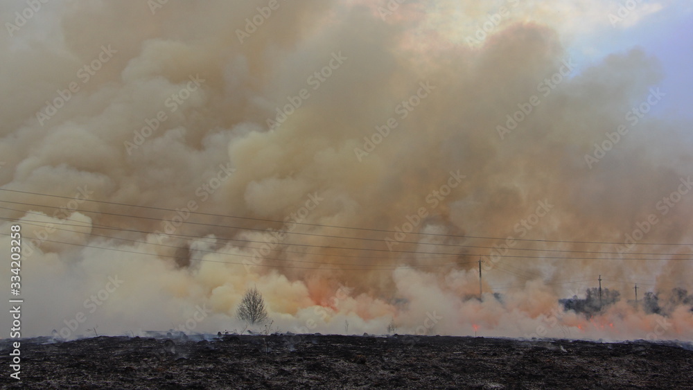 Fototapeta premium Thick smoke wall over a burning black charred field, a strong forest fire