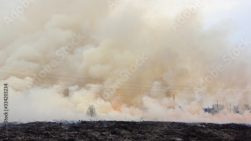 Heavy smoke over a burning black charred field, a big forest fire, ecological problem