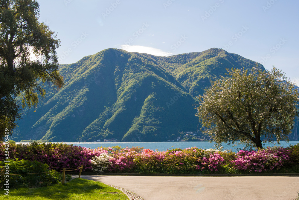 Beautiful mountain landscape on a sunny spring day in Lugano, Switzerland. View of Lake Lugano and the Alpine mountains, flowers in the front.