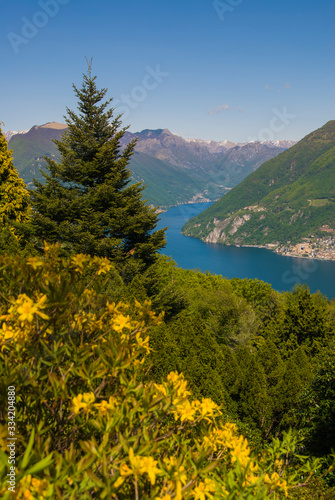 View of the Parco San Grato in Lugano  Switzerland. Alpine mountain scenery on a sunny summer day and views of Lake Lugano. 