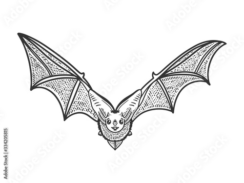 flying bat sketch engraving vector illustration. T-shirt apparel print design. Scratch board imitation. Black and white hand drawn image.
