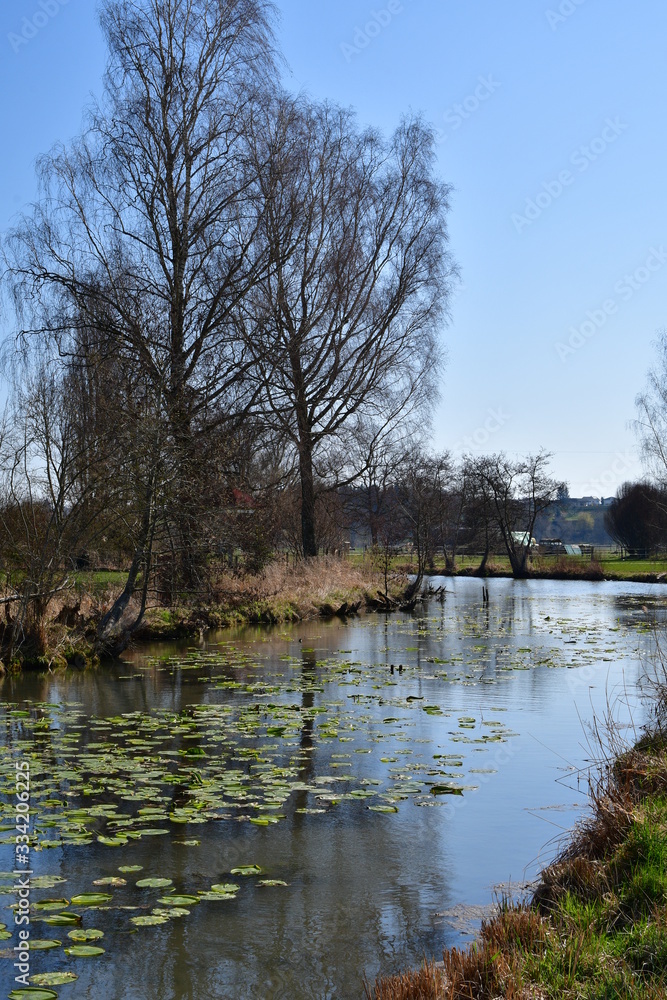 Flusslandschaft im Frühling mit Seerosen Flusslandschaft im Frühling mit Seerosen
