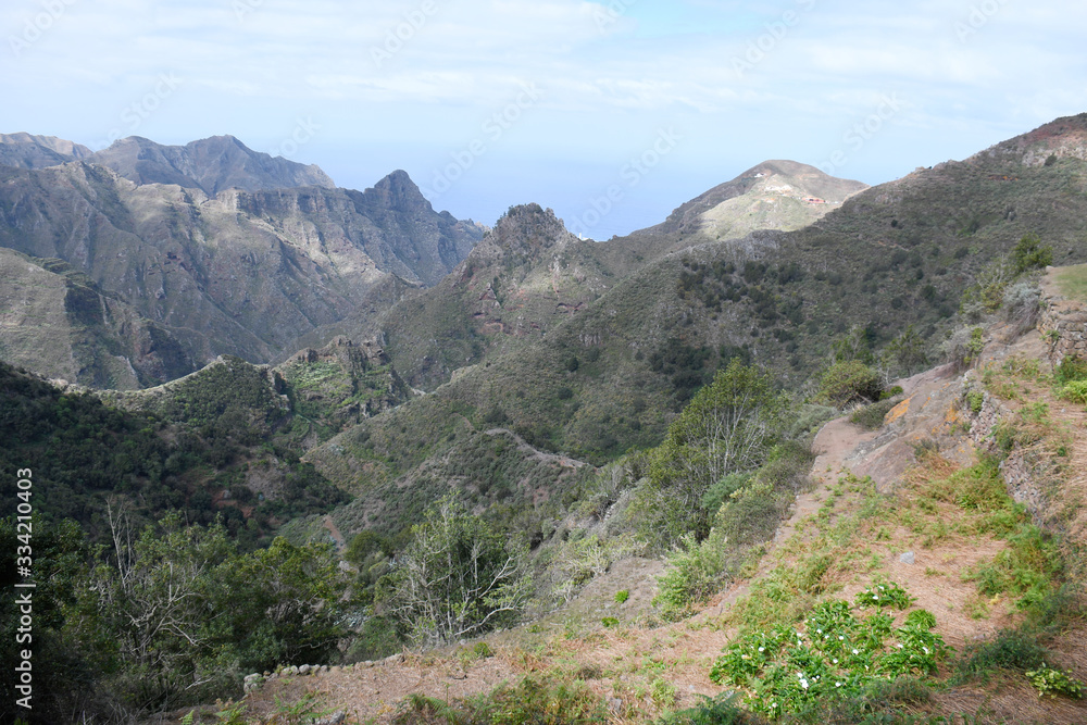 Ile de tenerife, massif de l'Anaga, chimanada