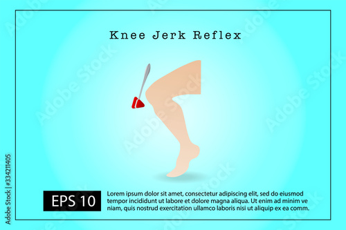 Knee Jerk Reflex vector, Medical Neurological examination