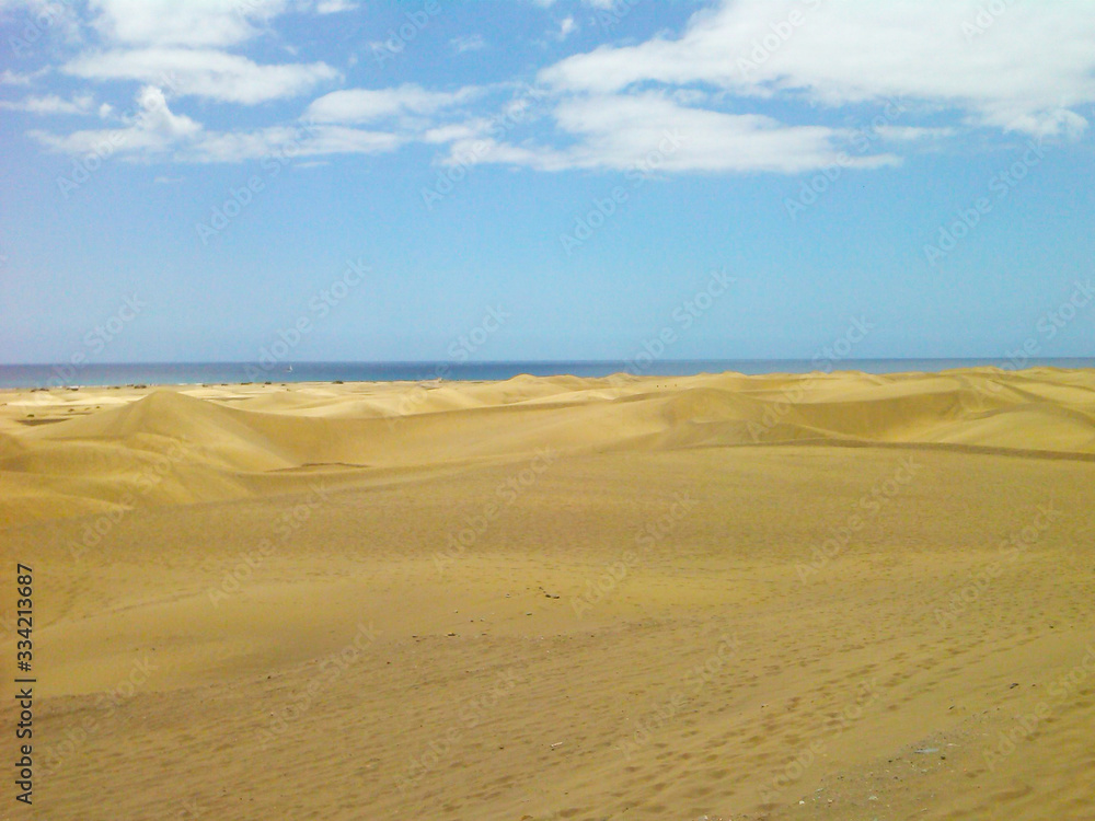 Desert dunes with ocean and a clear sky