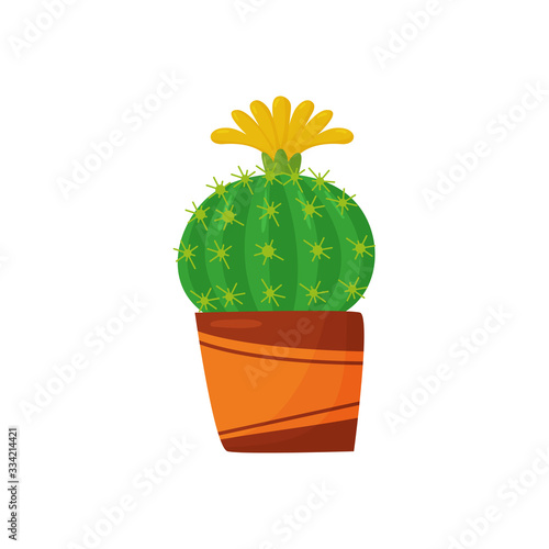 WebIsolated vector cactus on a white background in the style of cartoon, flat, kawaii. photo