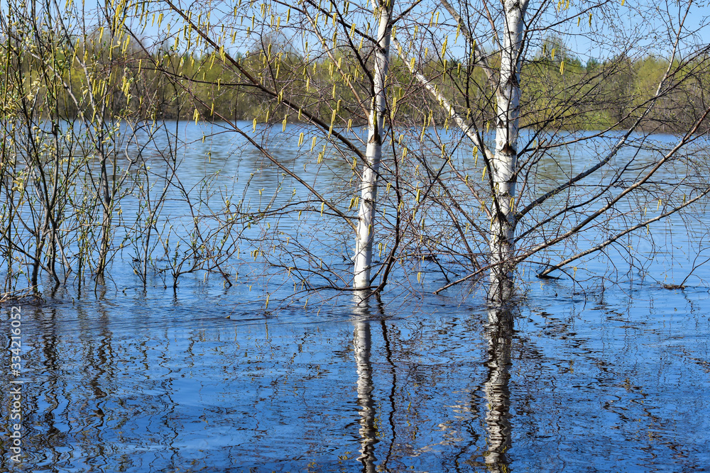 Obraz premium Spring nature, spilled river. Big water. Overflowed river