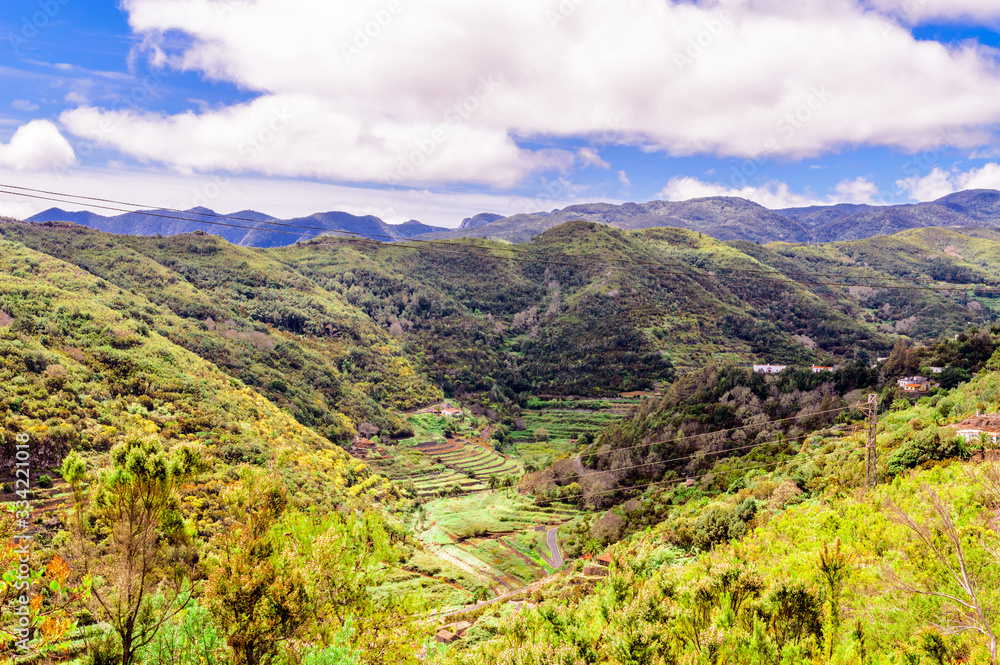 Obraz premium valley full of plantations and palm trees surrounded by mountains on the island of La Gomera. April 15, 2019. La Gomera, Santa Cruz de Tenerife Spain Africa. Travel Tourism Photography Nature.