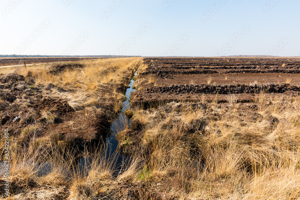 Naklejka premium Moorlandschaft in Uchte, Norddeutschland