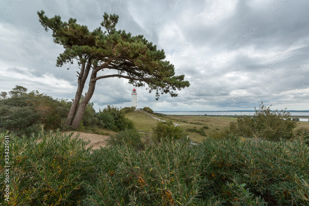 Fototapeta premium Leuchtturm Dornbusch, Hiddensee