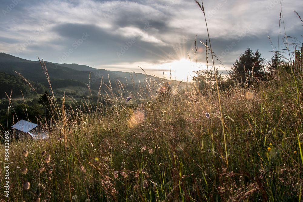 Obraz premium Sunset 