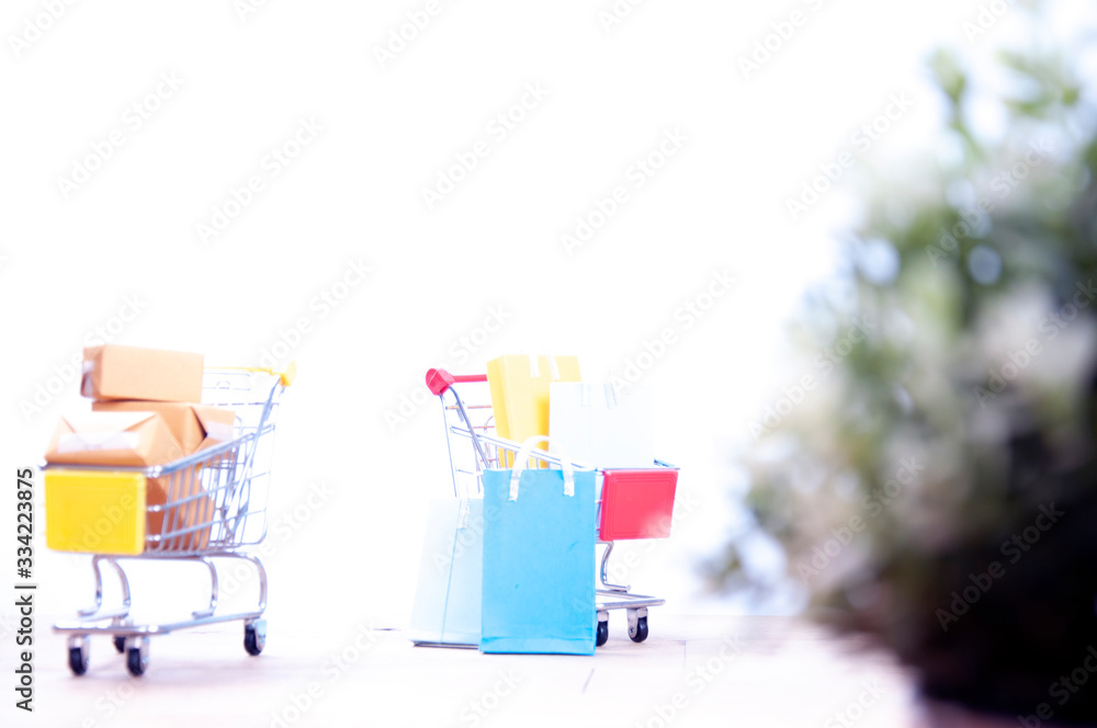 shopping online concept- home delivery for shopping online business. shop at home.  Online shopping delivery.