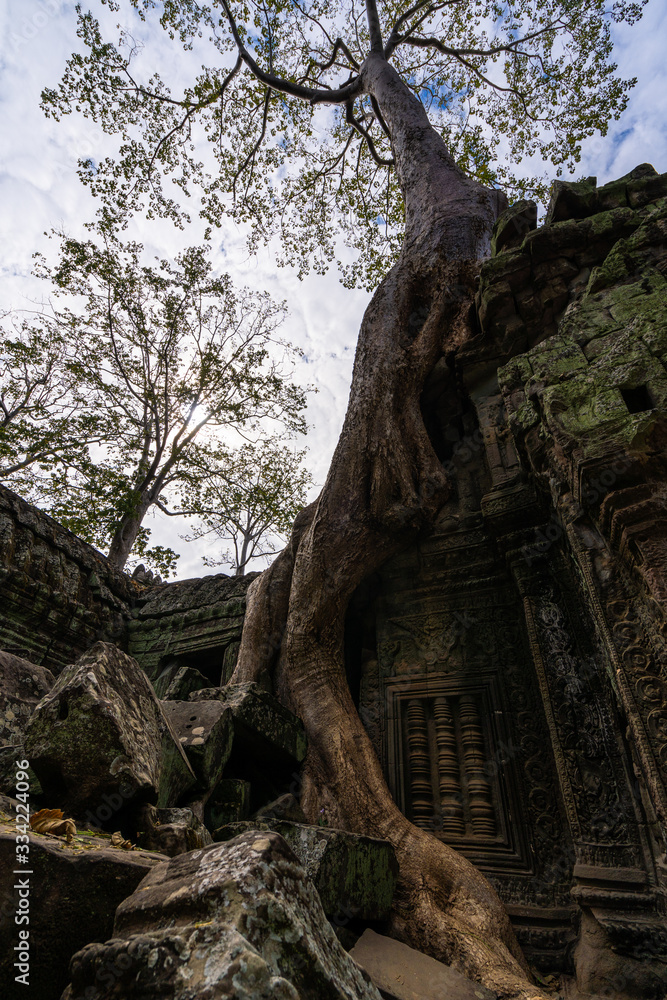 The ruins of Ta Prohm Temple hidden in jungle in Siem Reap part of the Angkor Wat in Siem Reap, Cambodia