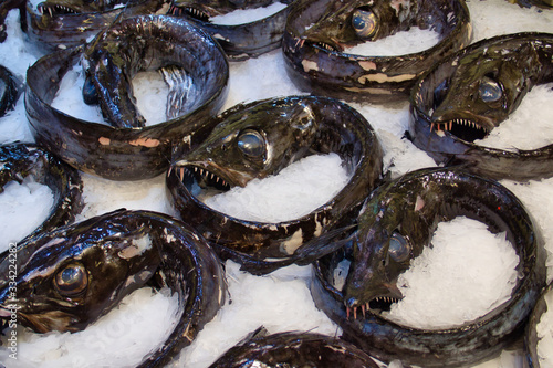 Black scabbard fish (aphanopus carbo) prepared for sale on ice at a fish counter in a supermarket on the island of Madeira