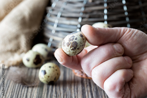 A quail egg is held by a male hand between the thumb and forefinger.