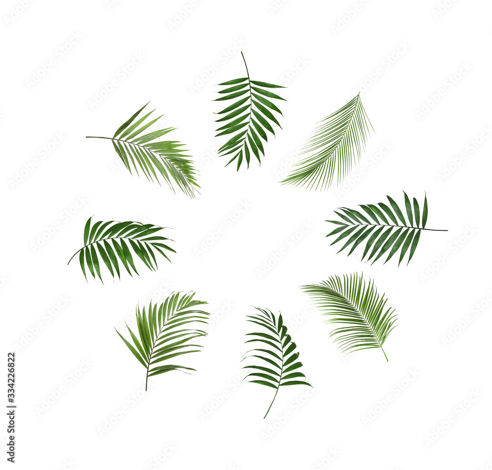 Set of tropical leaves on white background