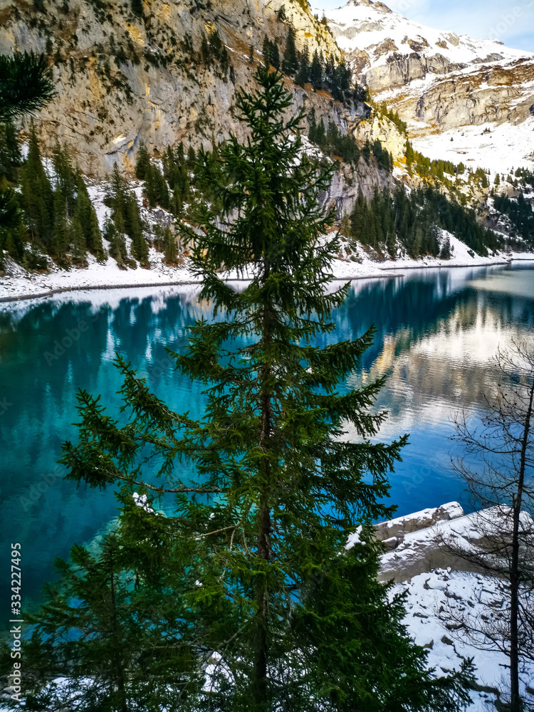 lake in forest