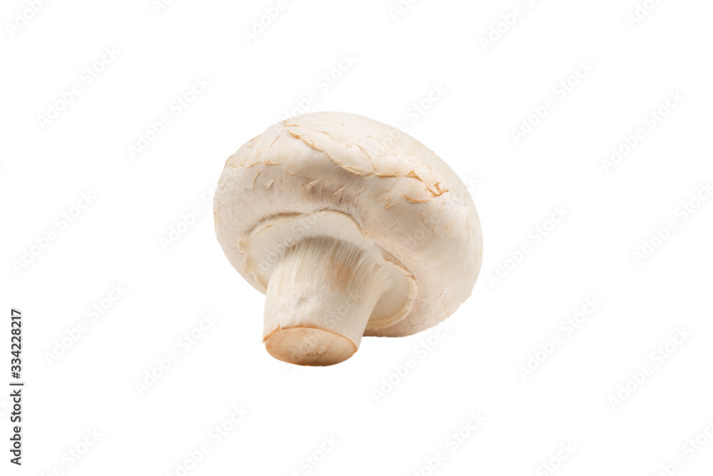 Fototapeta premium Champignon mushroom isolated on white background.