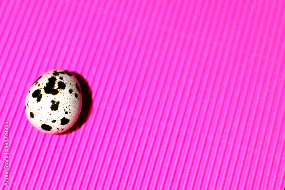 A bright quail egg with a shadow is located in the lower right corner of a saturated ribbed pink background. Close-up shot. There is space for your text and imagination for Easter design.