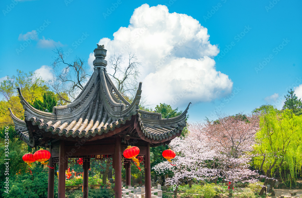 Cherry blossom in Guyi garden, Shanghai, China Cherry blossom in Guyi garden, Shanghai, China