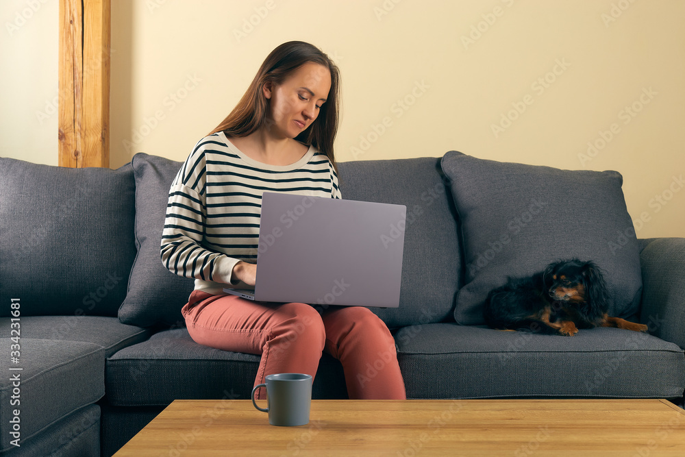 woman at remote work sitting on a sofa typing on a laptop next to her sleeping little dog woman at remote work sitting on a sofa typing on a laptop next to her sleeping little dog