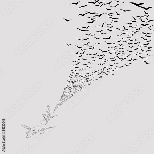 vector seamless texture of flying flock of birds