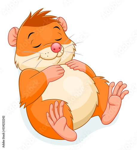Sleeping hamster
