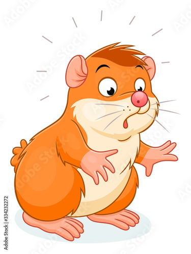 Surprised hamster