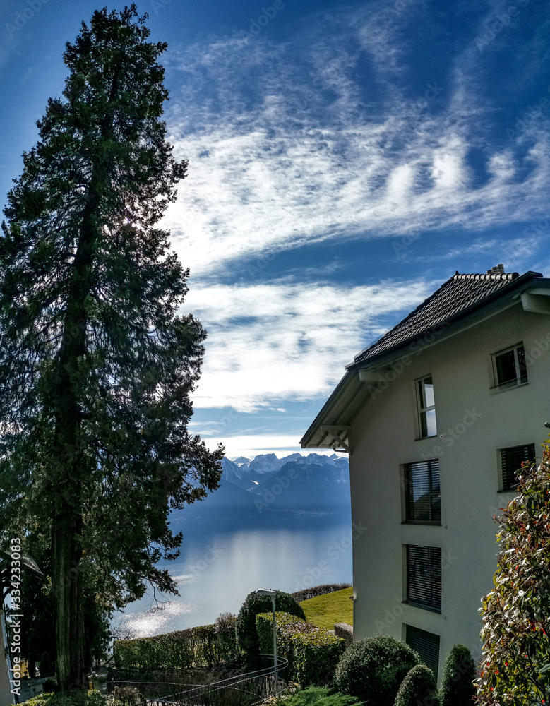 house on the hill