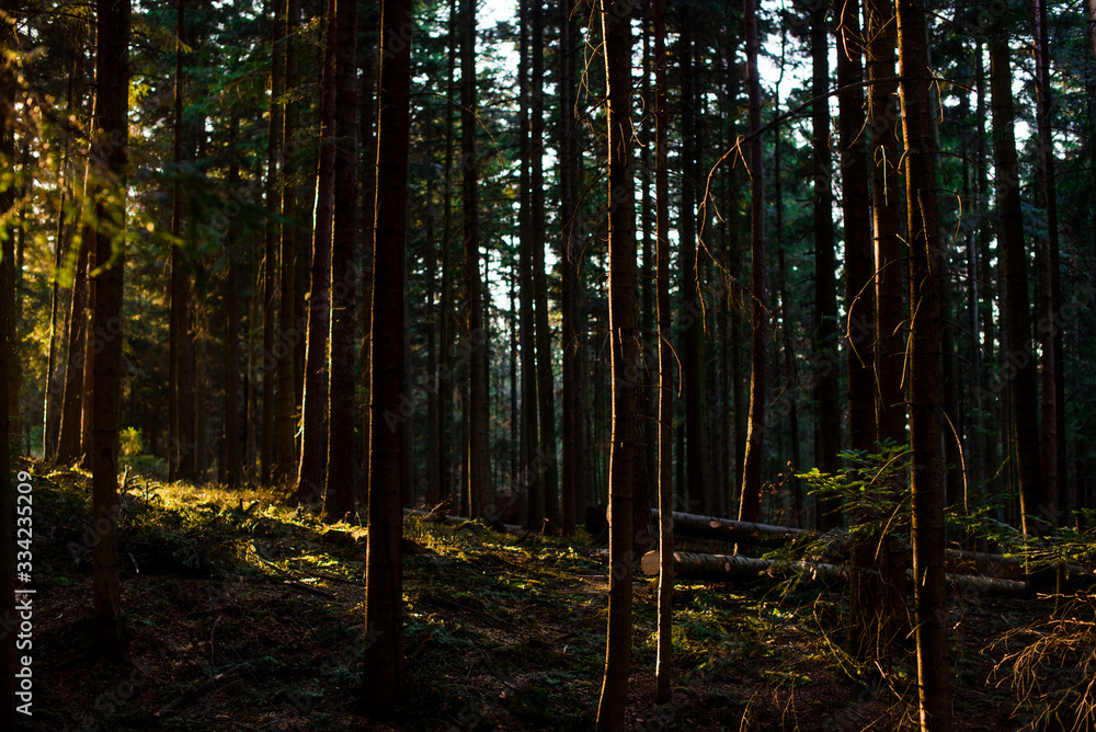 Obraz premium Beskidy