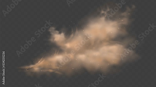 Dust sand cloud with stones and flying dusty particles isolated on transparent background. Desert sandstorm. Realistic vector illustration