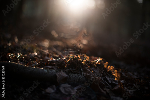 Fototapeta Naklejka Na Ścianę i Meble -  Beskidy