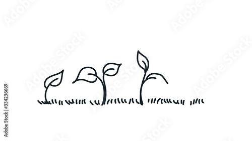 plant growing line art doodle draw process whiteboard symbol sign concept 