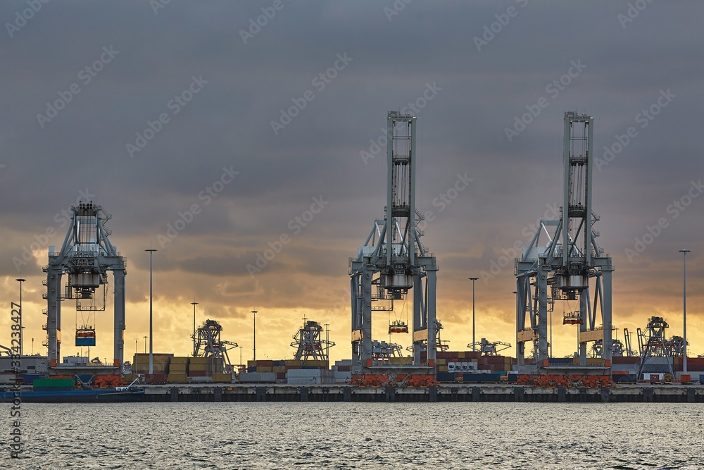Obraz premium Cranes of a container shipping terminal