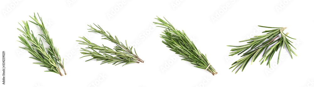 Set of fresh green rosemary on white background Set of fresh green rosemary on white background