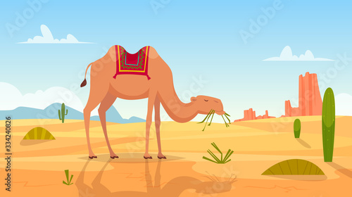 Desert background. African landscape with group of camels outdoor wasteland vector cartoon picture. African travel landscape  transportation camel illustration