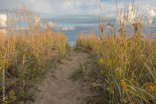 sand dunes by the sea in Hailuoto Island, Finland