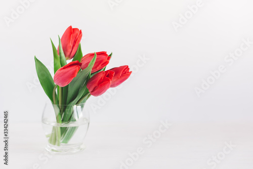 Tender red tulips in a vase on a white background.