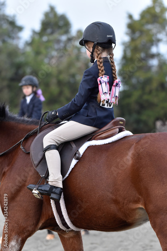Hunter/jumper horse show