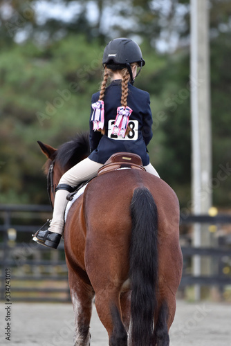 Hunter/jumper horse show