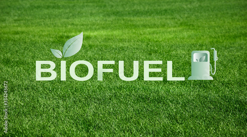 Alternative energy. Creative collage with word BIOFUEL against green grass on background