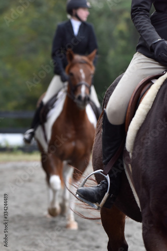 Hunter/jumper horse show © Amanda