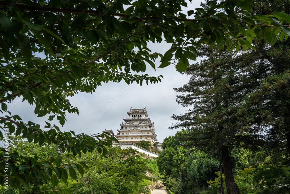 Scenic view of the main keep of the Himeji Castle between the trees, Japan