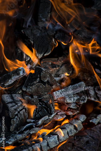 black embers of a tree engulfed in flames of fire