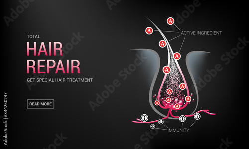 Hair follicles in skin, vitamins, keratin, growth cycle