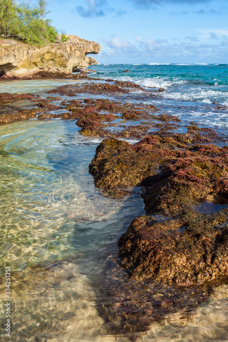 Waves Crash Over Exposed Coral Reef on Kawailoa Bay Beach, Mahaulepu Beaches, Poipu, Kauai, Hawaii, USA photo