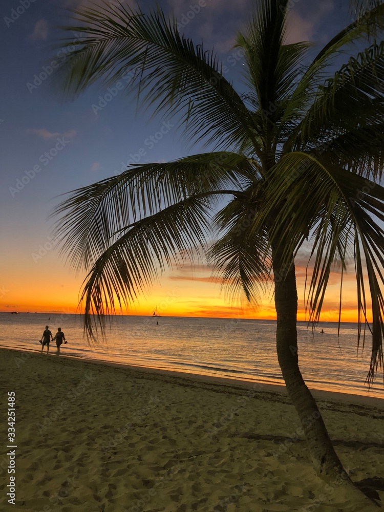 Obraz premium sunset on the beach